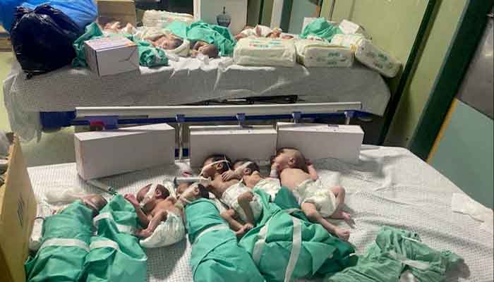 Babies kept in an incubator at al-shifa hospital in gaza
