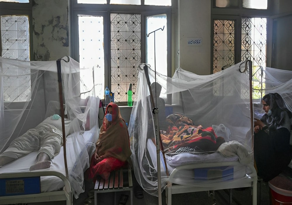 Punjab healthcare commission orders immediate compliance for dengue reporting